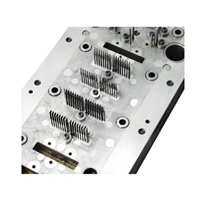 Injection Mold & Plastic Parts